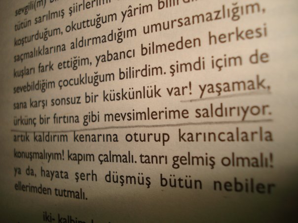 hiç sesler